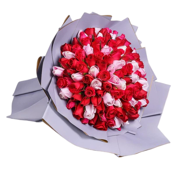 99 Roses - Expression of Love