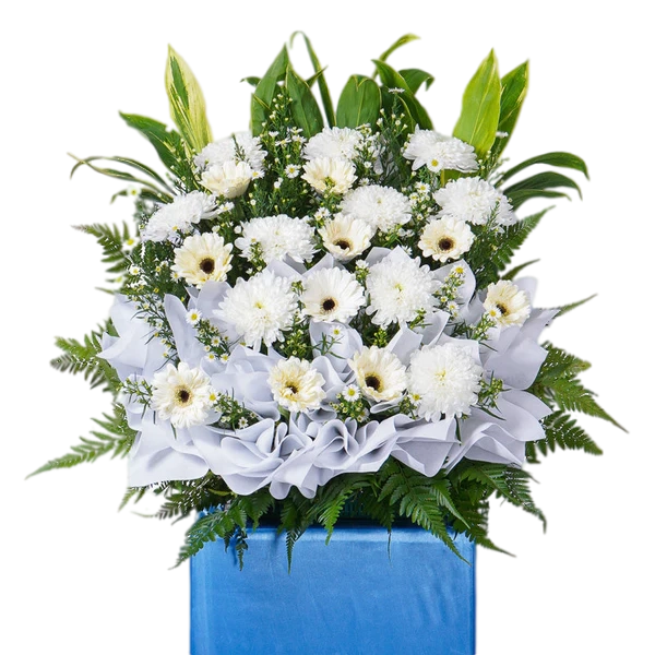 Cool Blue Condolence